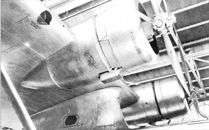 PBY Catalina pic_34.jpg