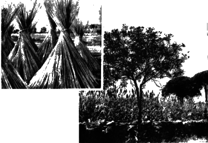 Джордано Бруно i_006.png
