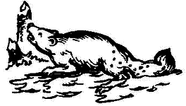 Очерки по истории географических открытий. Географические открытия и исследования нового времени (середина XVII-XVIII в.). Том 3 i_072.png