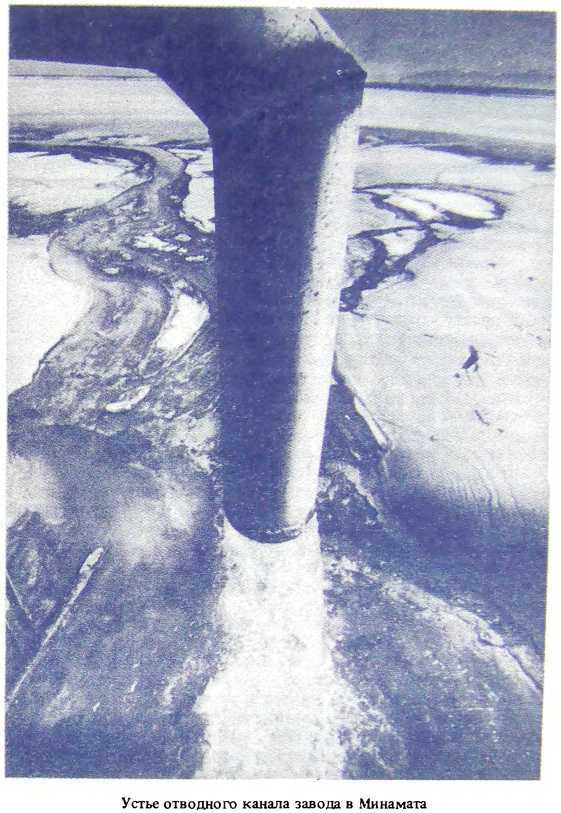 Отравители из Тиссо image4.jpg