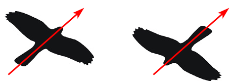 Как мы видим то, что видим img4C3.png