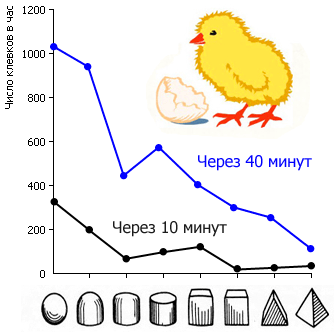 Как мы видим то, что видим img7FC4.png