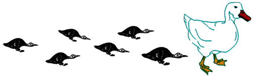 Как мы видим то, что видим imgD1D0.png