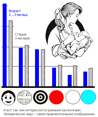 Как мы видим то, что видим img7246.png