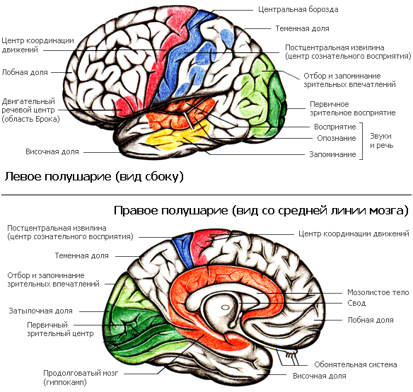 Как мы видим то, что видим imgC865.png