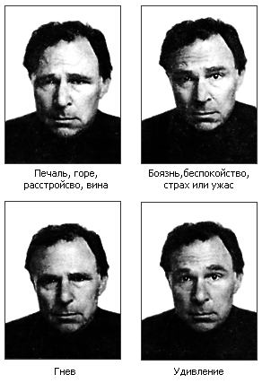 Как мы видим то, что видим img6B4E.png