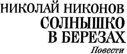 Солнышко в березах  img_1.jpeg