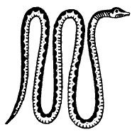 Мифы Древнего Египта i_045.png
