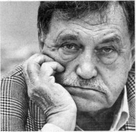 Советская литература. Краткий курс Aksenov.jpg