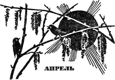 В стране зеленой i_005.jpg