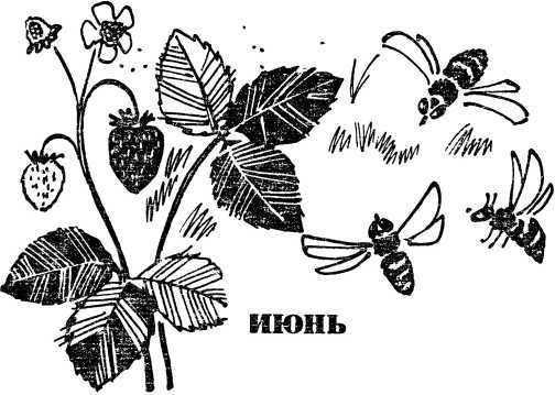 В стране зеленой i_007.jpg