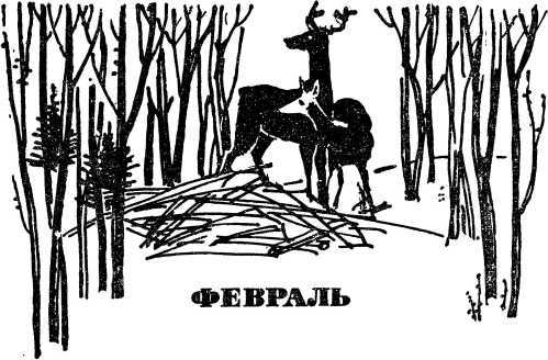 В стране зеленой i_003.jpg