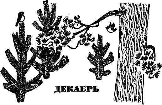В стране зеленой i_013.jpg