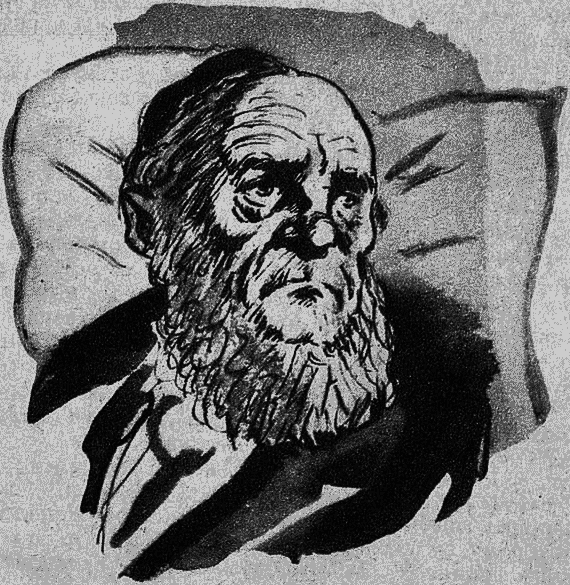 Павильон на дюнах (илл.) i_024.png