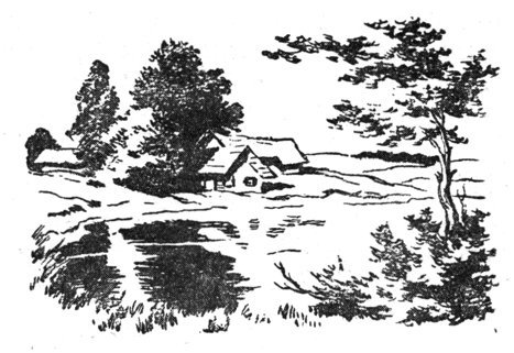 Луна и кузнечики i_009.jpg