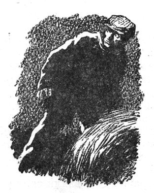 Луна и кузнечики i_029.jpg