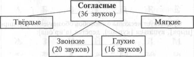 Фонетический разбор слова _4.jpg