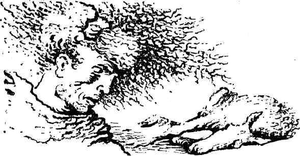 Крайняя изба img_3.jpeg