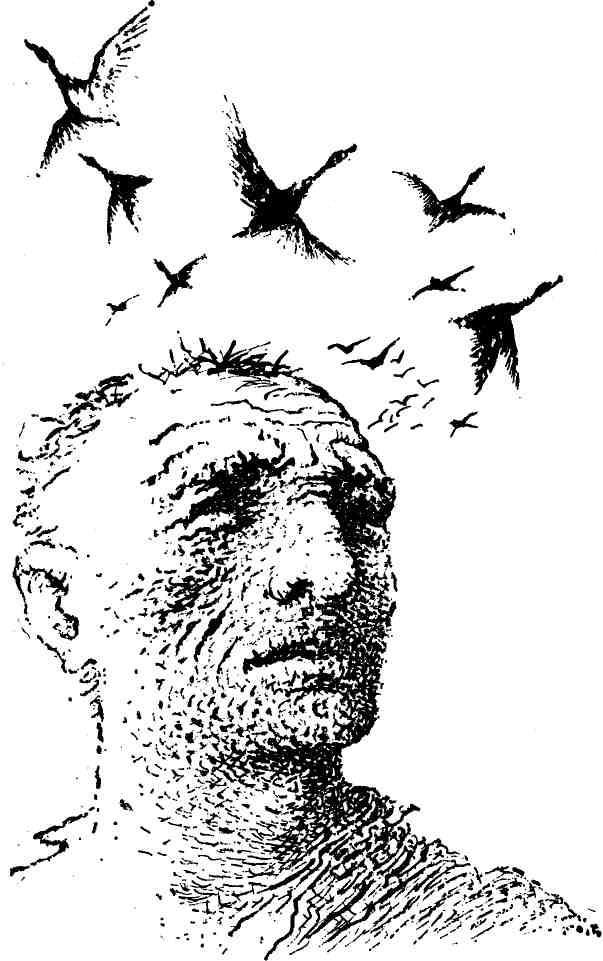 Крайняя изба img_4.jpeg