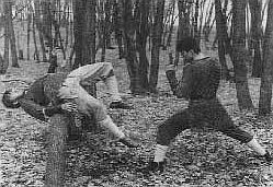 Русская профессиональная драка _53.jpg