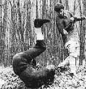 Русская профессиональная драка _58.jpg