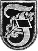 10-я танковая дивизия СС «Фрундсберг» p006.jpg_0