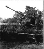 10-я танковая дивизия СС «Фрундсберг» p076.jpg