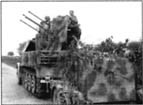 10-я танковая дивизия СС «Фрундсберг» p093.jpg