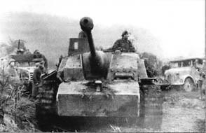 10-я танковая дивизия СС «Фрундсберг» p220.jpg