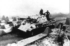10-я танковая дивизия СС «Фрундсберг» p221.jpg