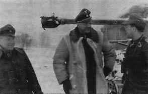 10-я танковая дивизия СС «Фрундсберг» p229.jpg