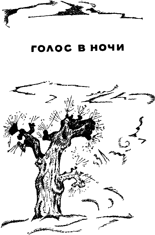 Голос в ночи. «Вспомни!» pic_2.png