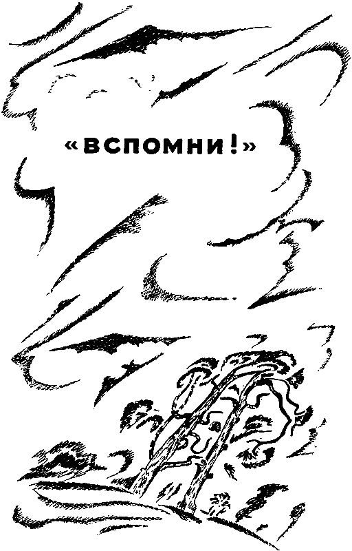 Голос в ночи. «Вспомни!» pic_6.png