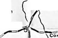 «Ледовый поход» Балтийского флота в 1918 году  _45.jpg