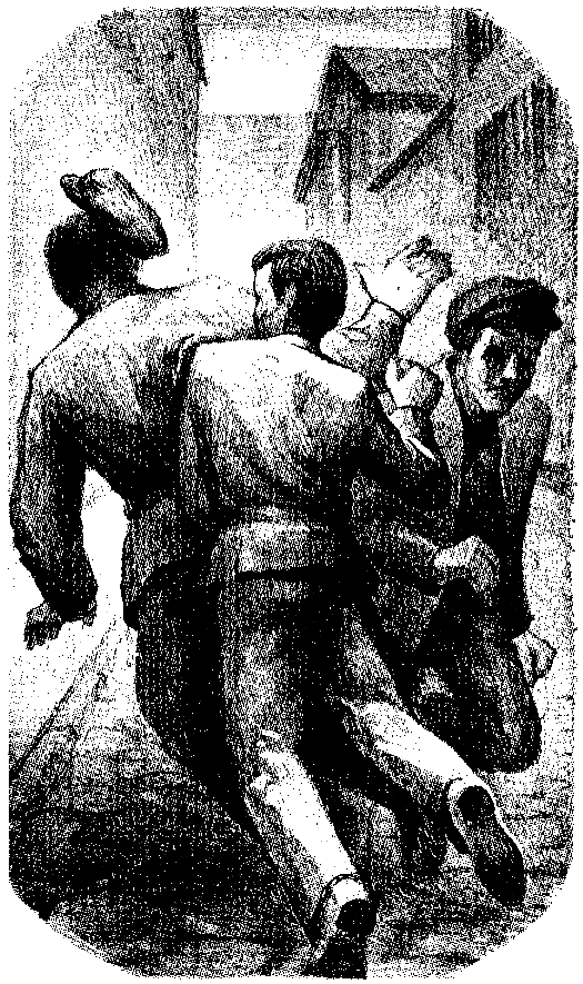 Тарантул (с илл.) pic_11.png