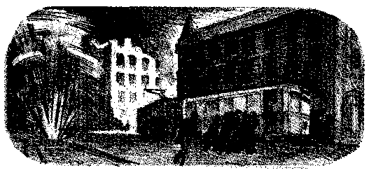 Тарантул (с илл.) pic_16.png