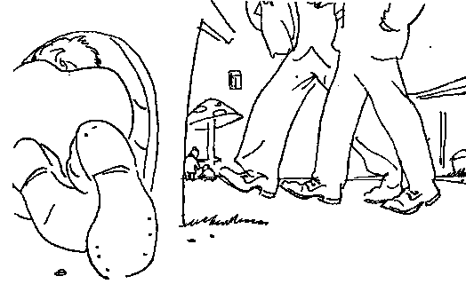 В плену у краснокожих (сборник) pic_25.png