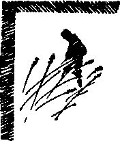 Перо и маузер image8.png