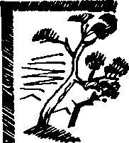 Перо и маузер  image14.png