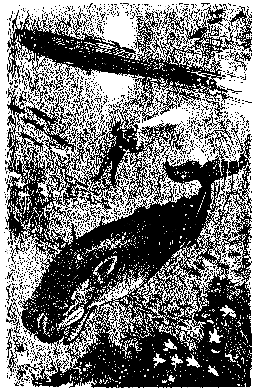 Тайна двух океанов (илл. Г.Шевякова) pic_10.png