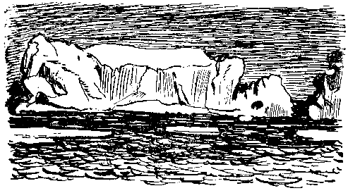 Тайна двух океанов (илл. Г.Шевякова) pic_23.png