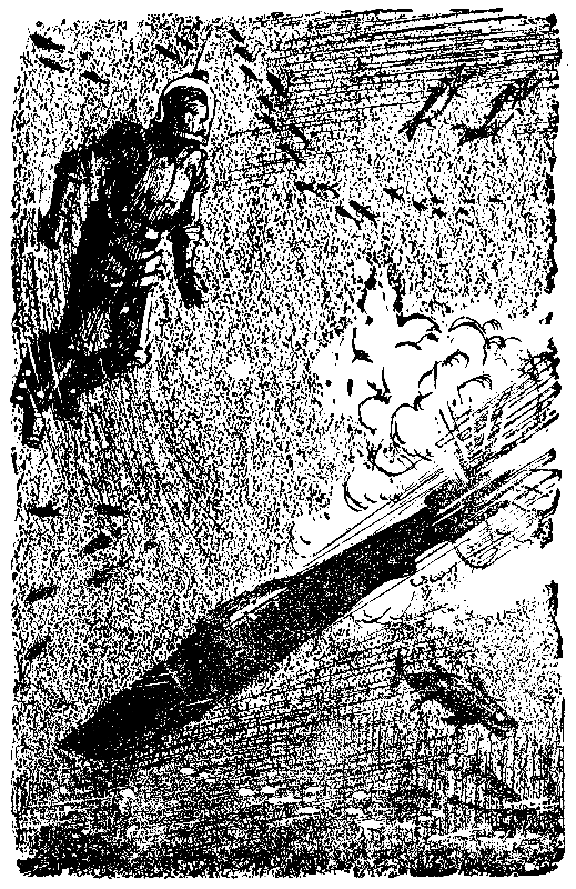 Тайна двух океанов (илл. Г.Шевякова) pic_26.png