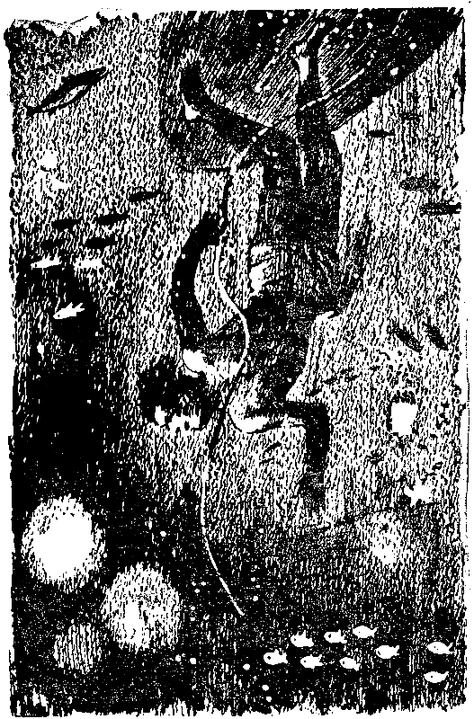 Тайна двух океанов (илл. Г.Шевякова) pic_28.png