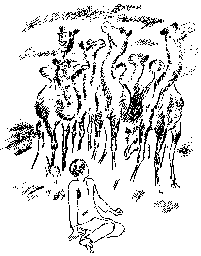 Джарылгач (сборник) i_013.png