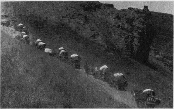 Казаки в Персии 1909-1918 _15.jpg