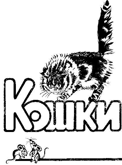 Кошки i_001.jpg