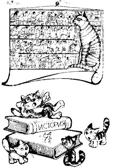 Кошки i_002.jpg