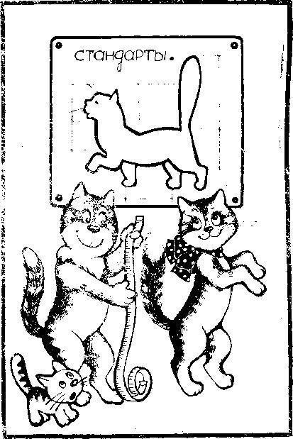 Кошки i_015.jpg