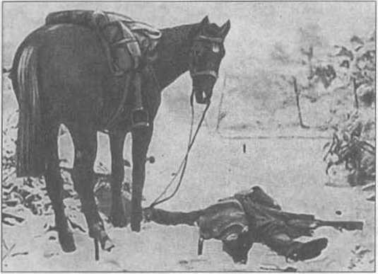 Атаман Краснов и Донская армия. 1918 год _116.jpg