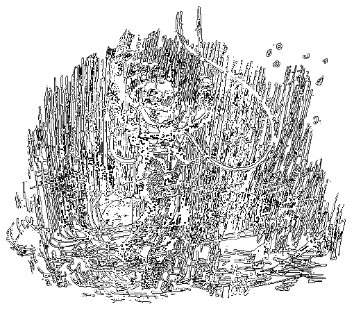 Бешеная акула i_017.png